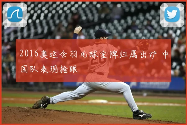 2016奥运会羽毛球金牌归属出炉 中国队表现抢眼