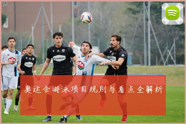 奥运会游泳项目规则与看点全解析
