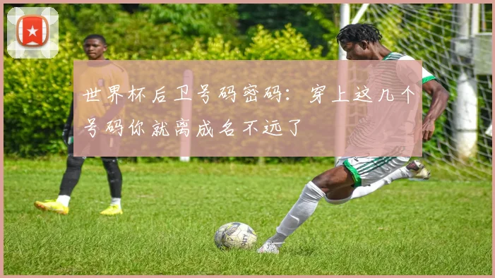 世界杯后卫号码密码：穿上这几个号码你就离成名不远了